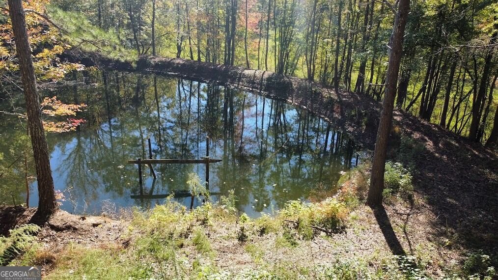 455 Roy Brown Road Buchanan - Photo 10