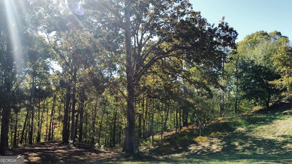 455 Roy Brown Road Buchanan - Photo 100