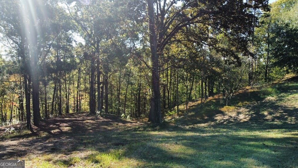 455 Roy Brown Road Buchanan - Photo 101