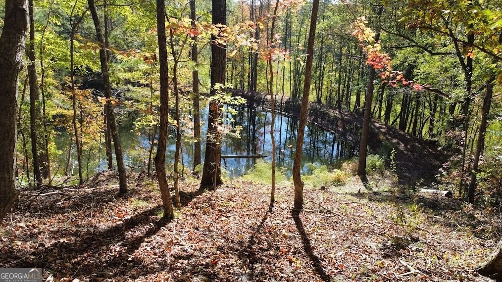455 Roy Brown Road Buchanan - Photo 102