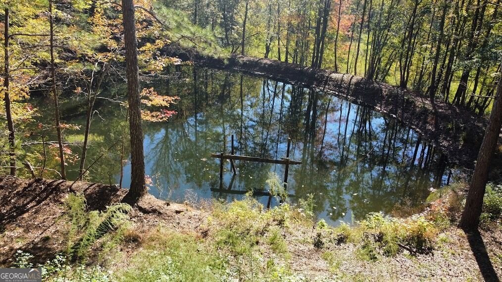 455 Roy Brown Road Buchanan - Photo 103