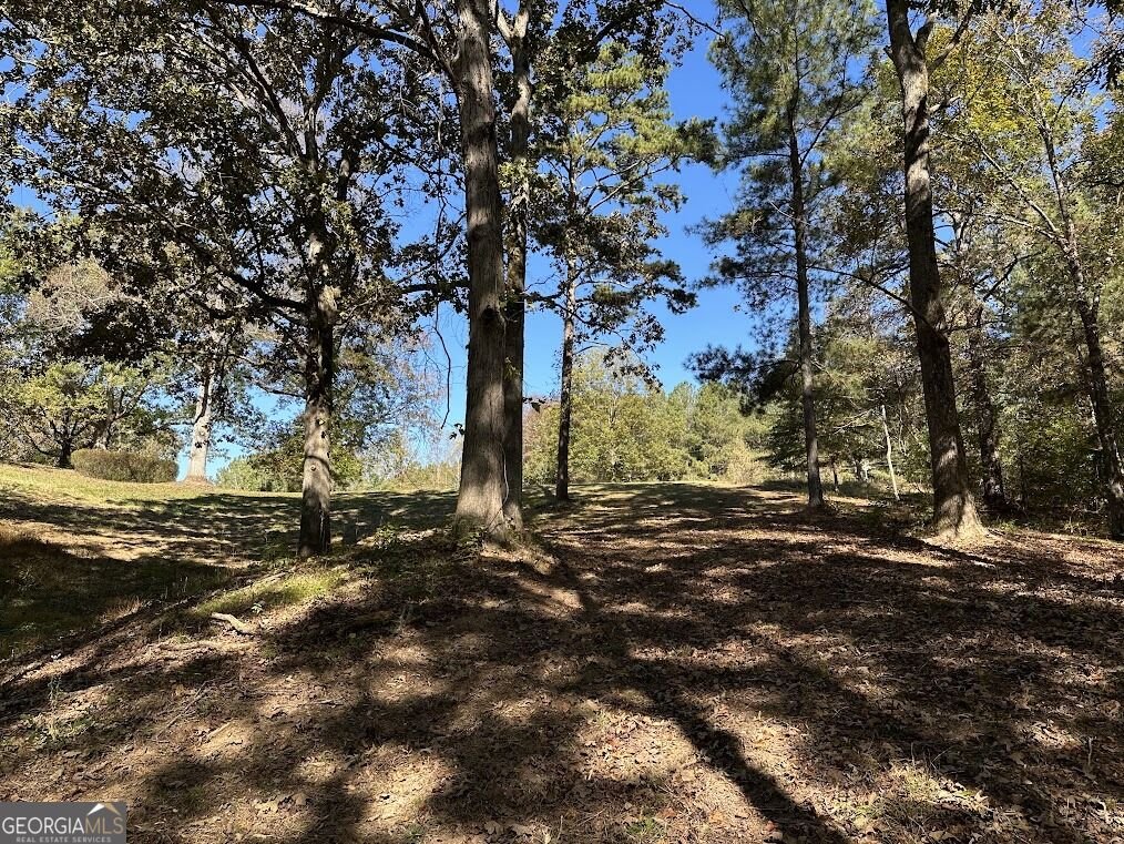 455 Roy Brown Road Buchanan - Photo 106