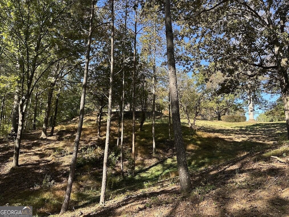 455 Roy Brown Road Buchanan - Photo 107