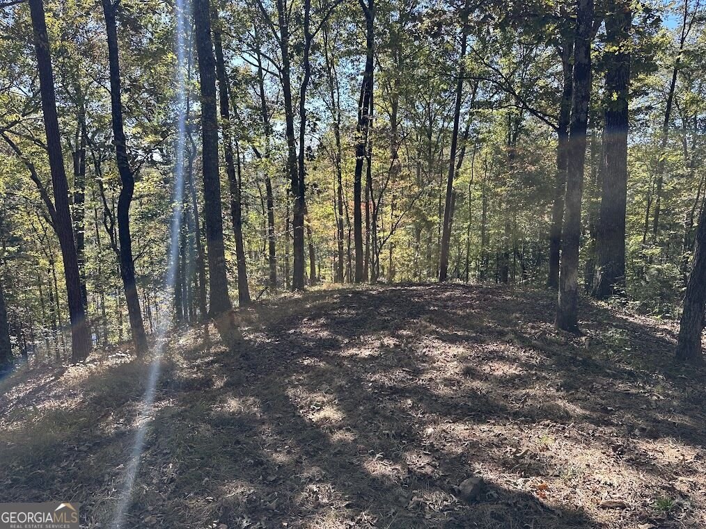 455 Roy Brown Road Buchanan - Photo 108
