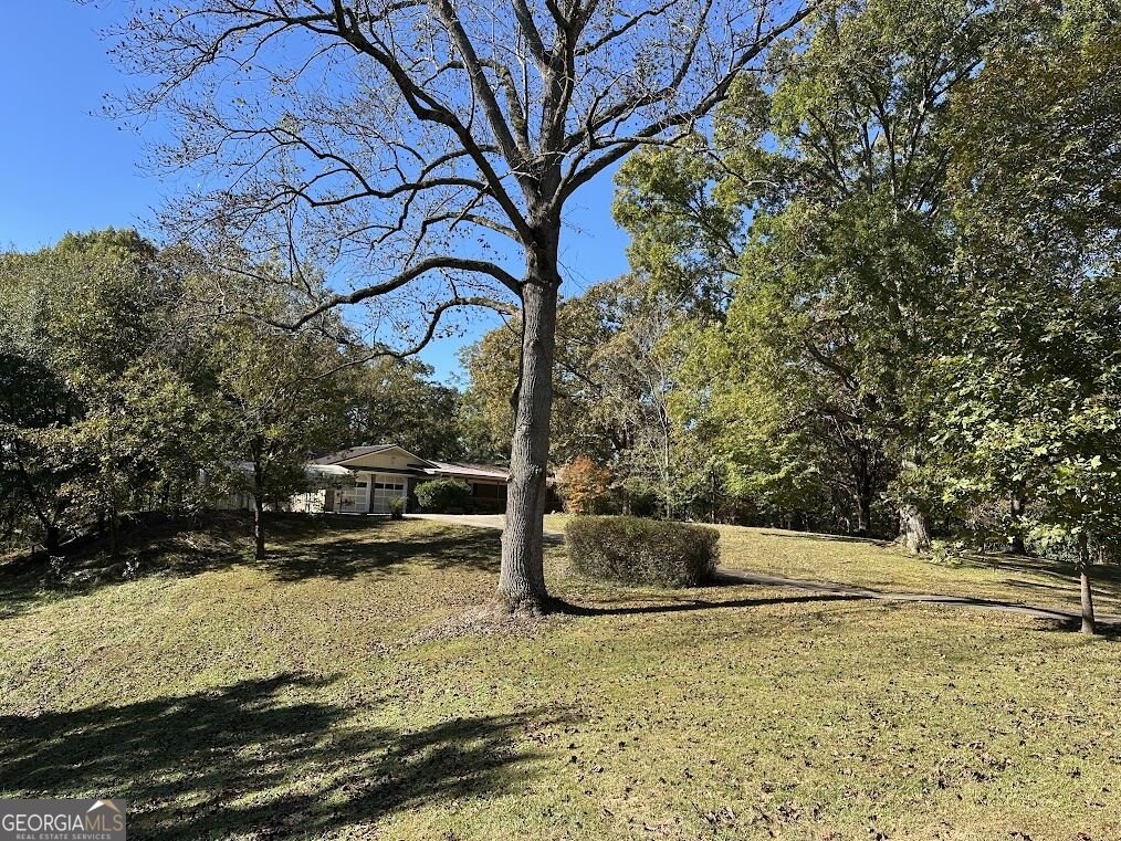 455 Roy Brown Road Buchanan - Photo 109
