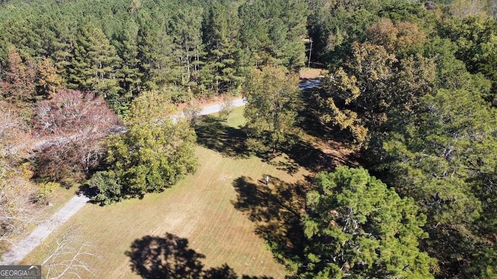 455 Roy Brown Road Buchanan - Photo 11