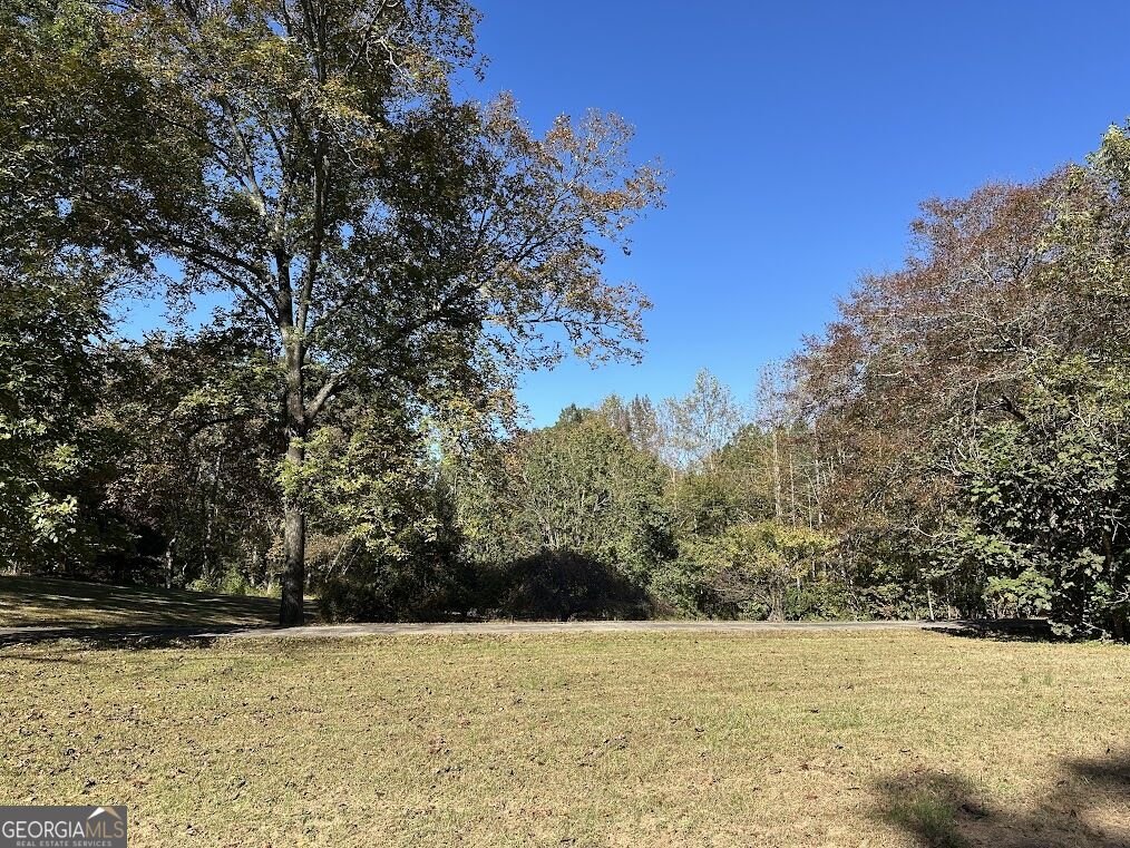 455 Roy Brown Road Buchanan - Photo 110