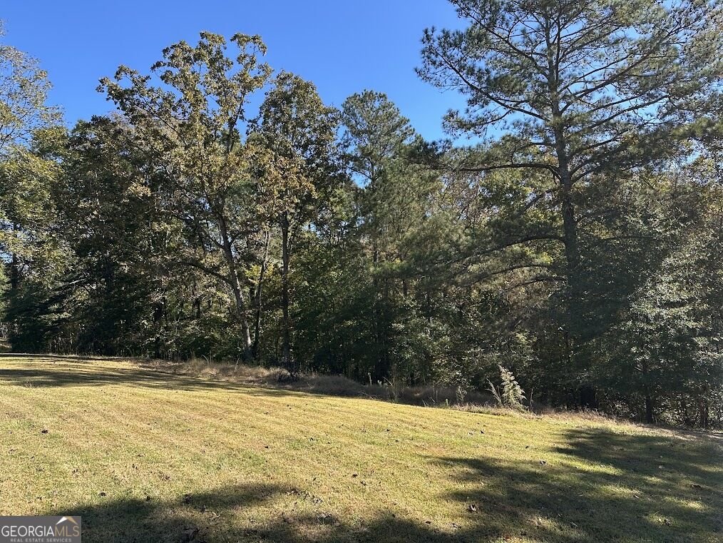 455 Roy Brown Road Buchanan - Photo 111