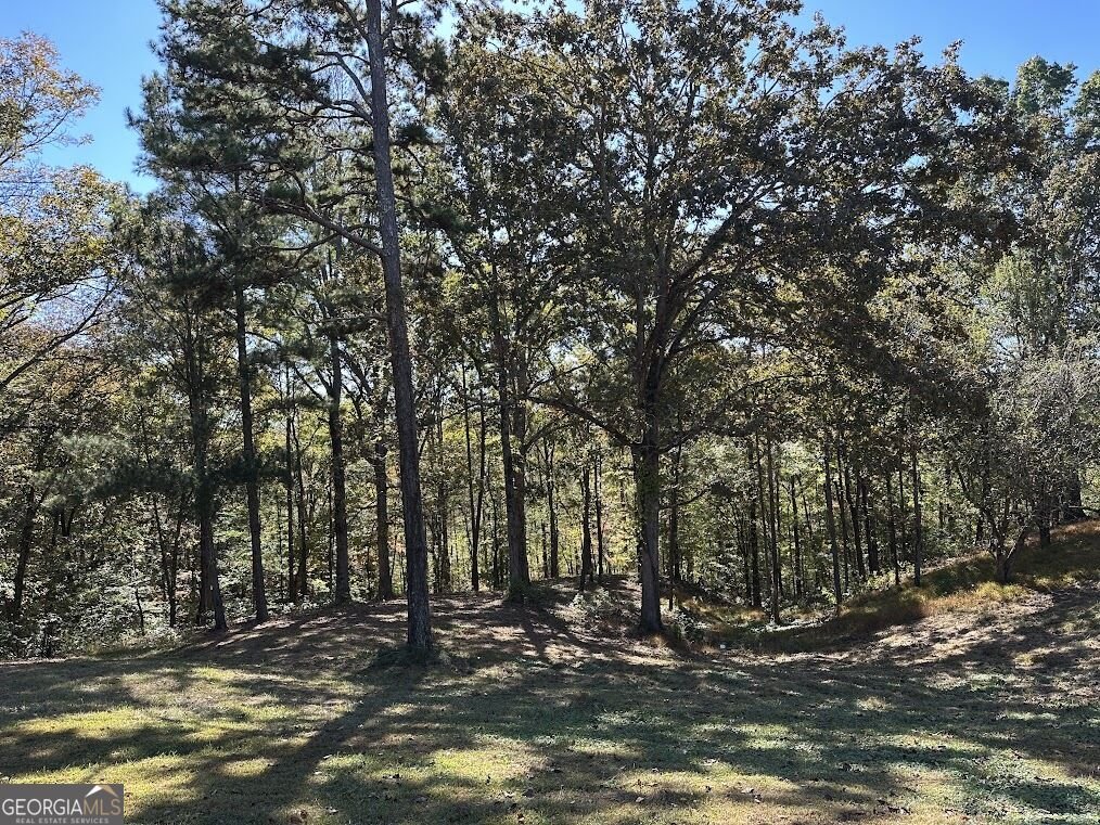 455 Roy Brown Road Buchanan - Photo 112