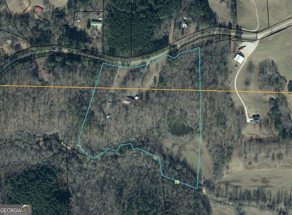455 Roy Brown Road Buchanan - Photo 115