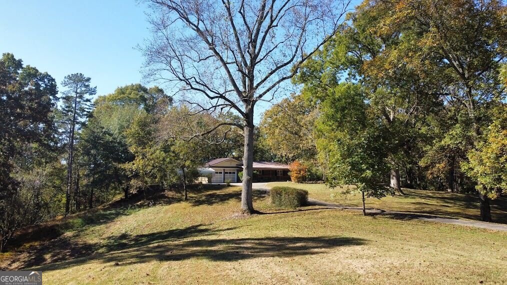 455 Roy Brown Road Buchanan - Photo 12