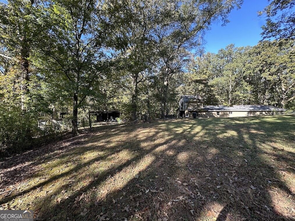 455 Roy Brown Road Buchanan - Photo 71