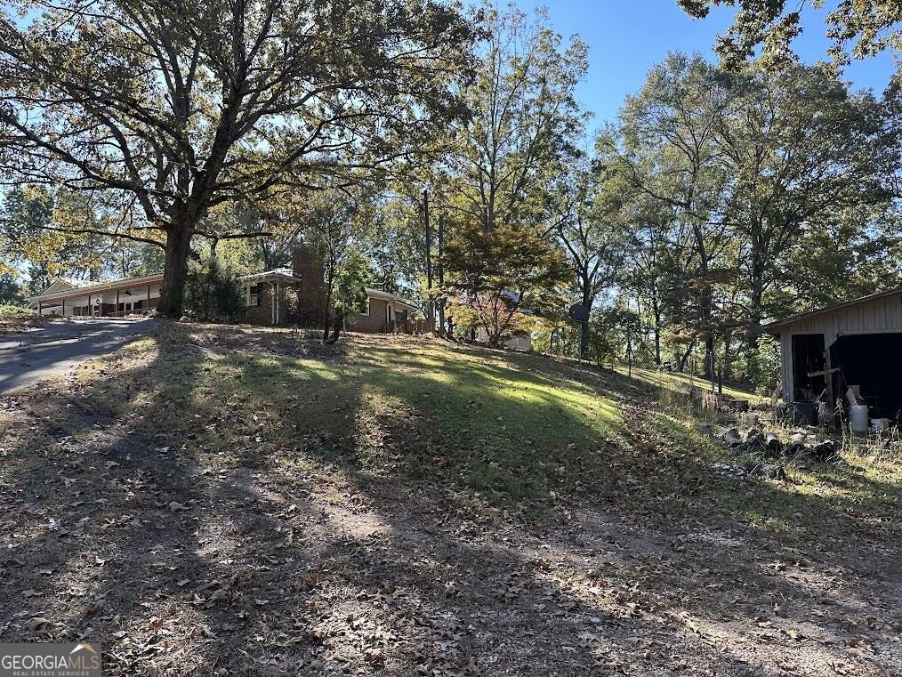 455 Roy Brown Road Buchanan - Photo 74