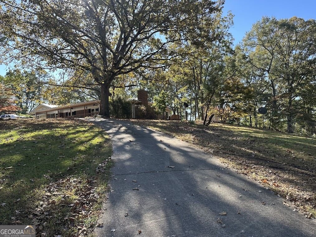 455 Roy Brown Road Buchanan - Photo 79