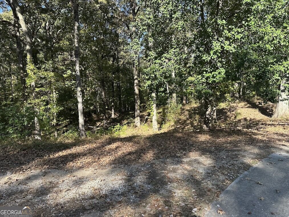 455 Roy Brown Road Buchanan - Photo 80
