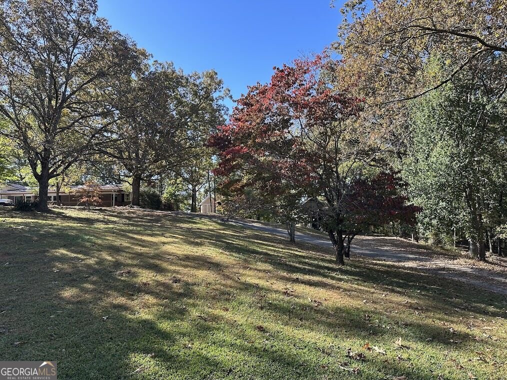 455 Roy Brown Road Buchanan - Photo 81