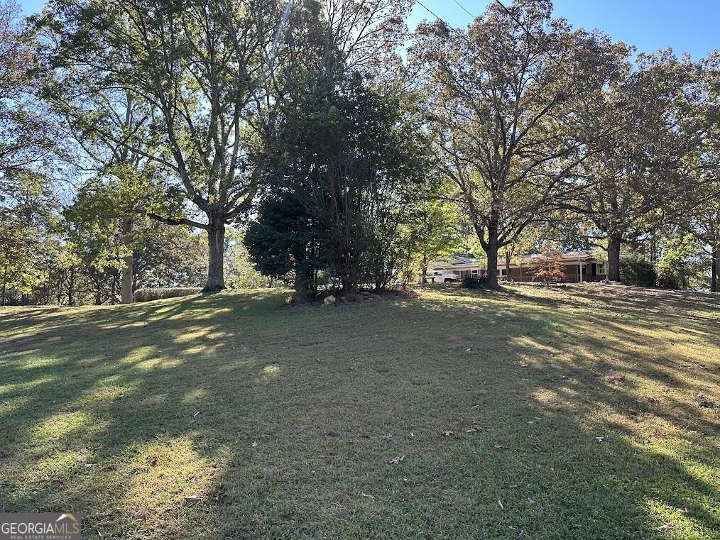 455 Roy Brown Road Buchanan - Photo 82