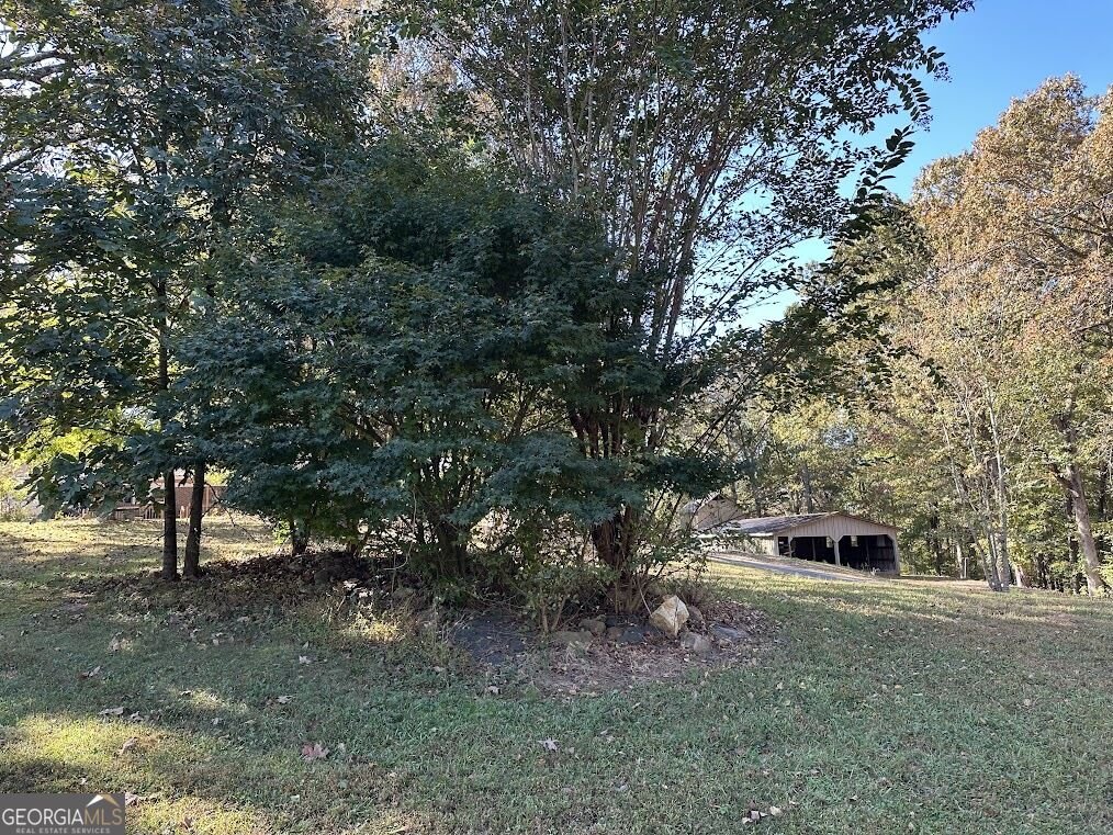 455 Roy Brown Road Buchanan - Photo 83