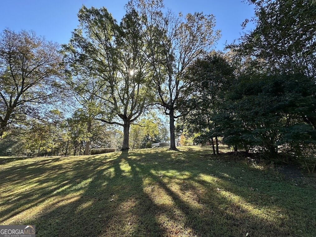 455 Roy Brown Road Buchanan - Photo 84