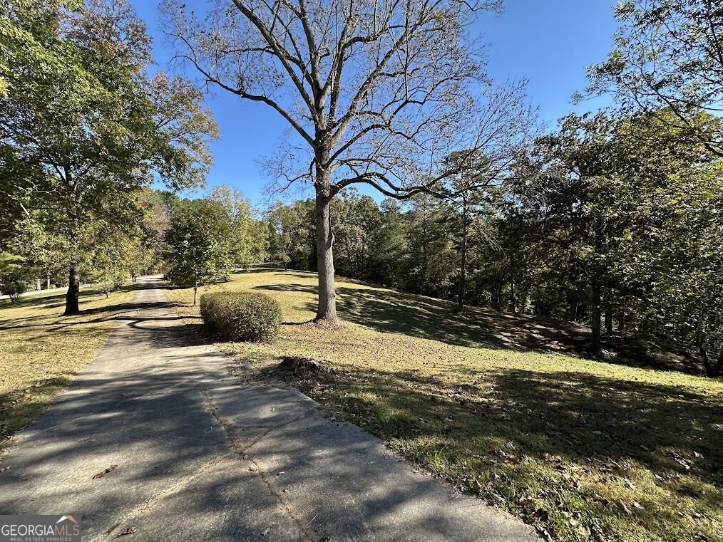 455 Roy Brown Road Buchanan - Photo 86