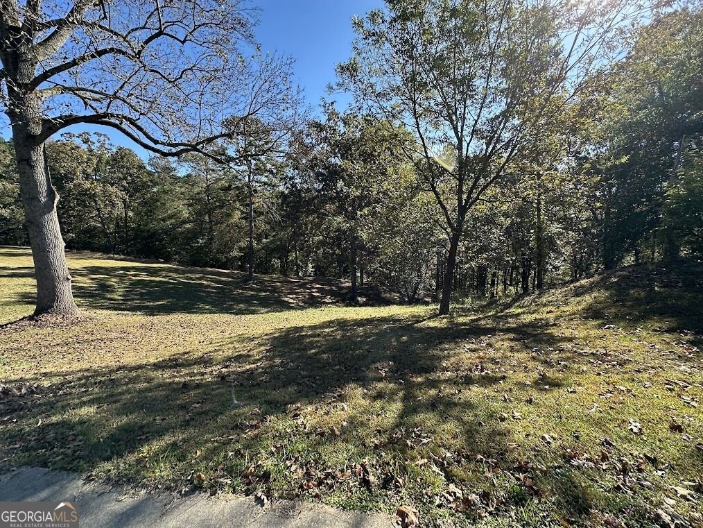 455 Roy Brown Road Buchanan - Photo 87