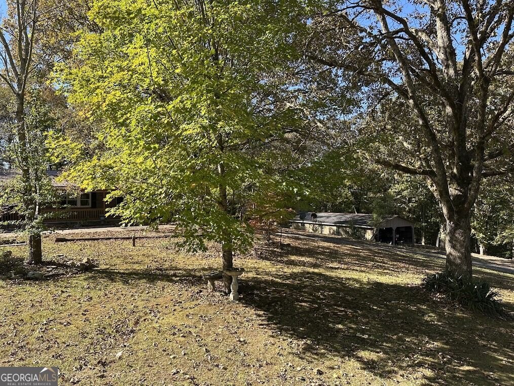 455 Roy Brown Road Buchanan - Photo 88