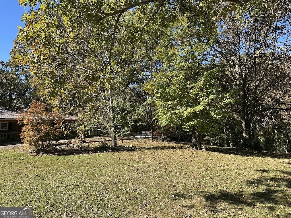 455 Roy Brown Road Buchanan - Photo 91