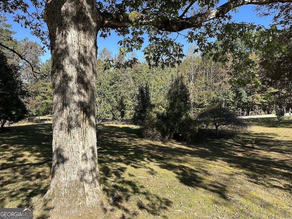 455 Roy Brown Road Buchanan - Photo 92