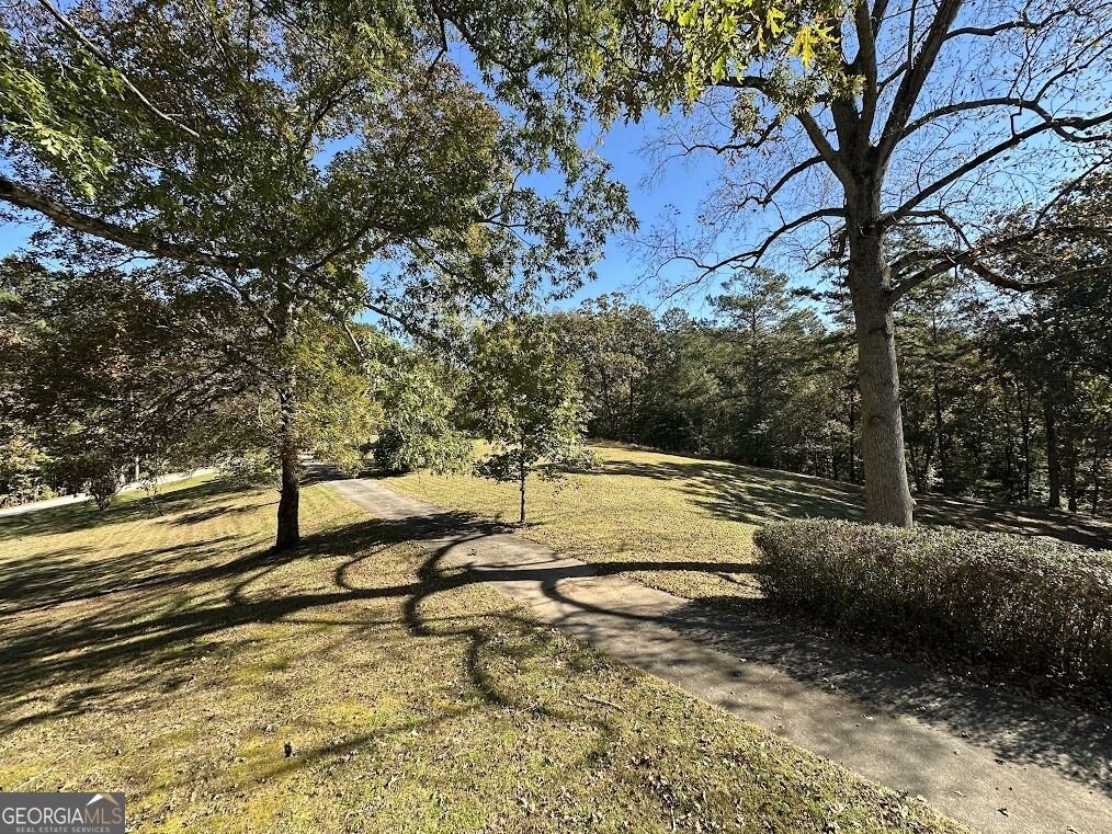 455 Roy Brown Road Buchanan - Photo 93