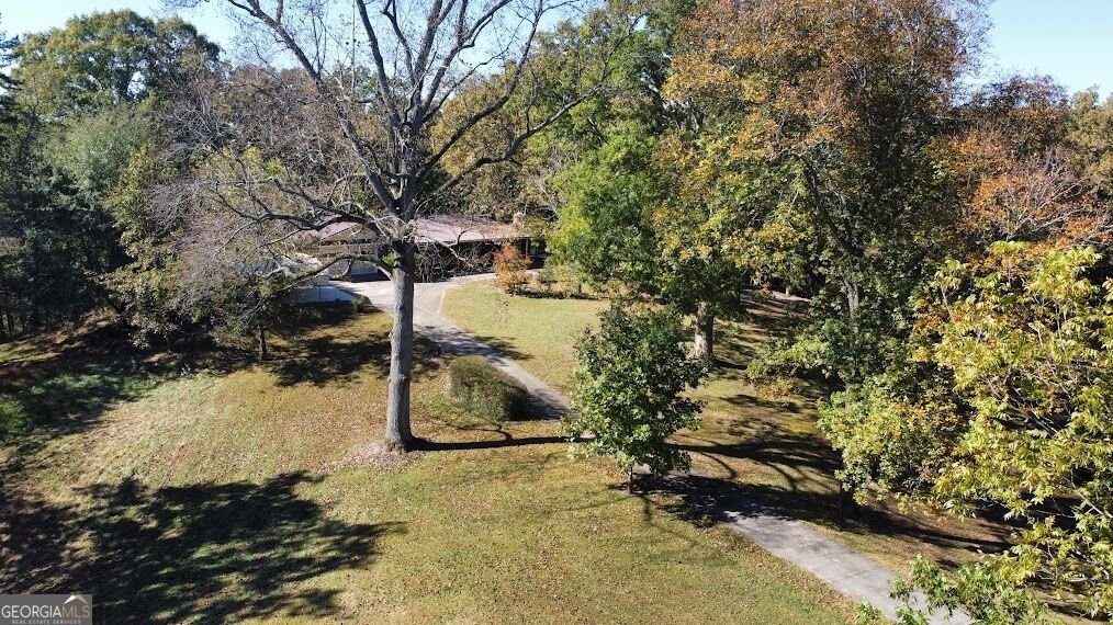 455 Roy Brown Road Buchanan - Photo 95