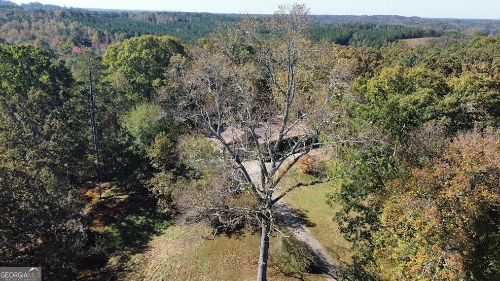 455 Roy Brown Road Buchanan - Photo 96