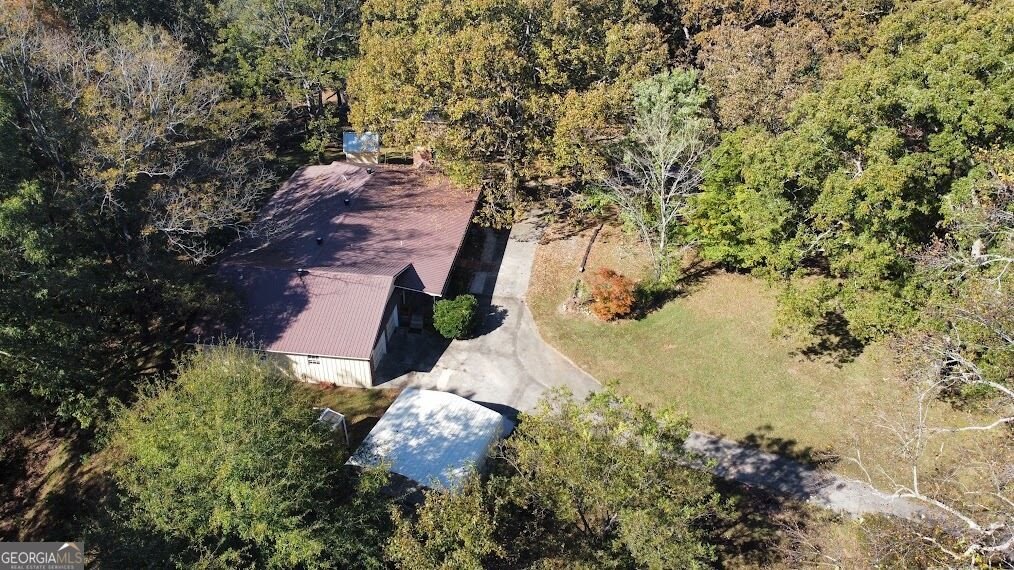 455 Roy Brown Road Buchanan - Photo 97