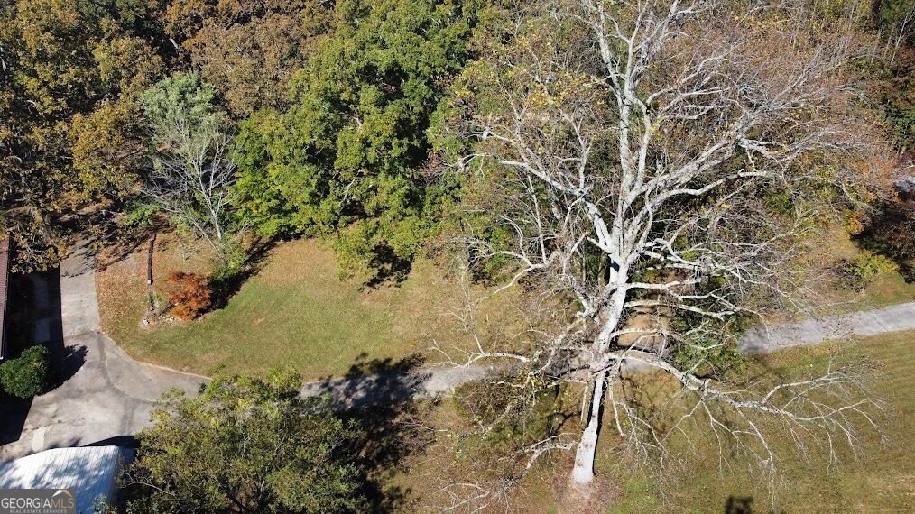 455 Roy Brown Road Buchanan - Photo 98
