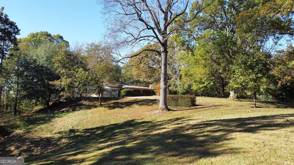 455 Roy Brown Road Buchanan - Photo 99