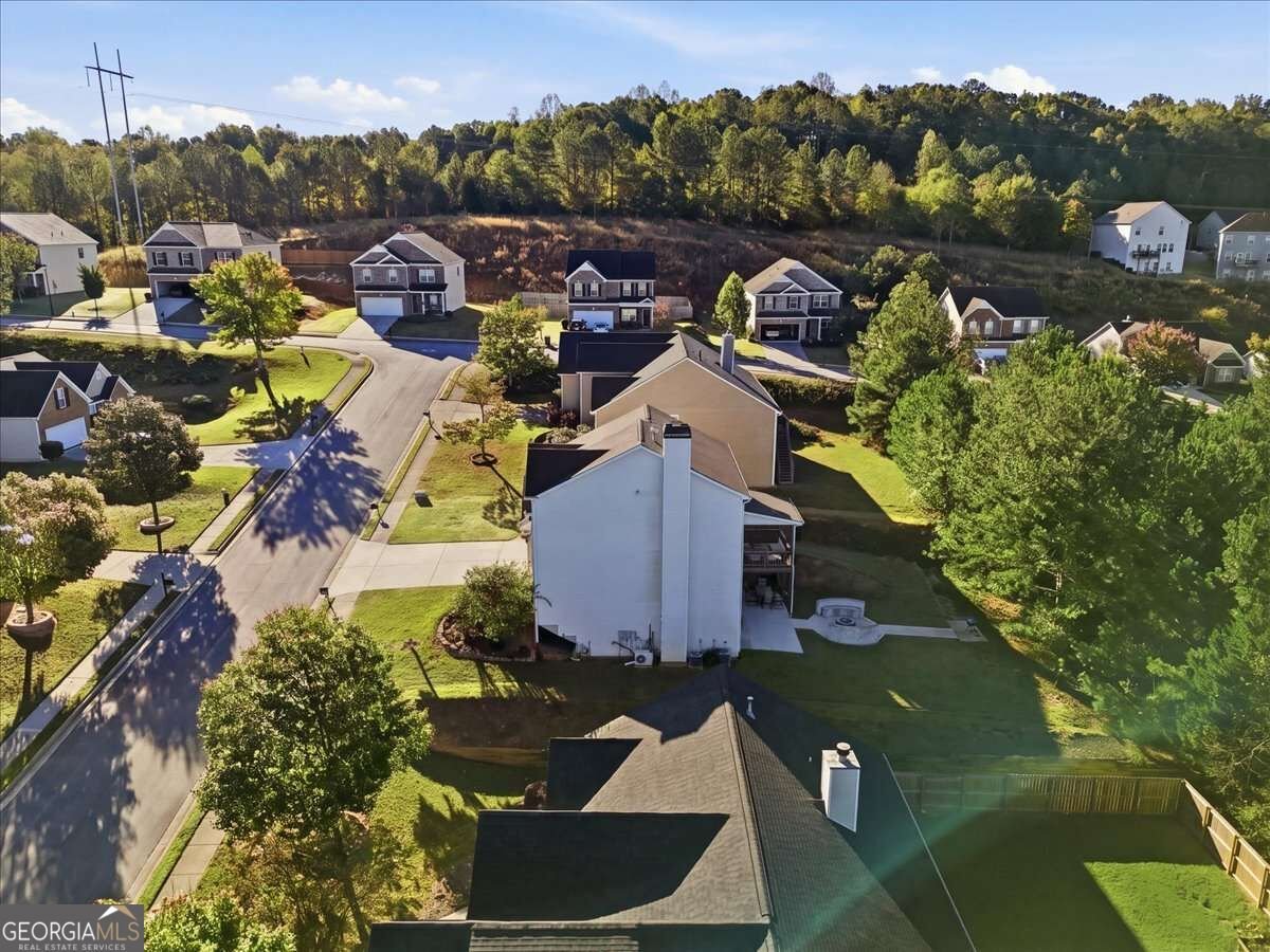 3835 Hawk Tail Drive Loganville - Photo 10