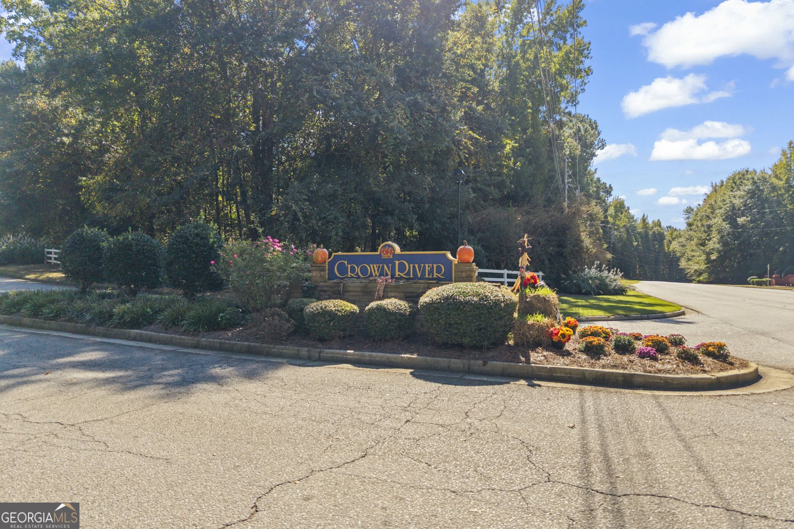 1620 Woodridge Bend McDonough - Photo 63