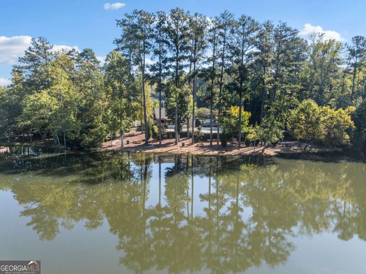120 Lakestone Parkway Woodstock - Photo 70