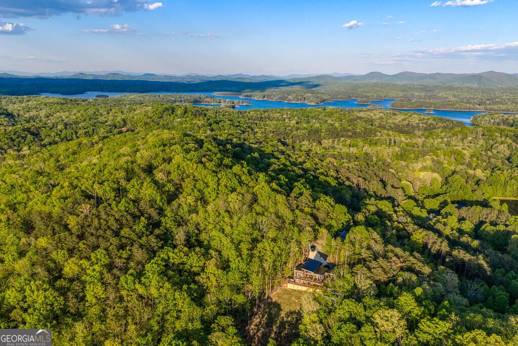 356 Mountain Ridge Drive Blue Ridge - Photo 7