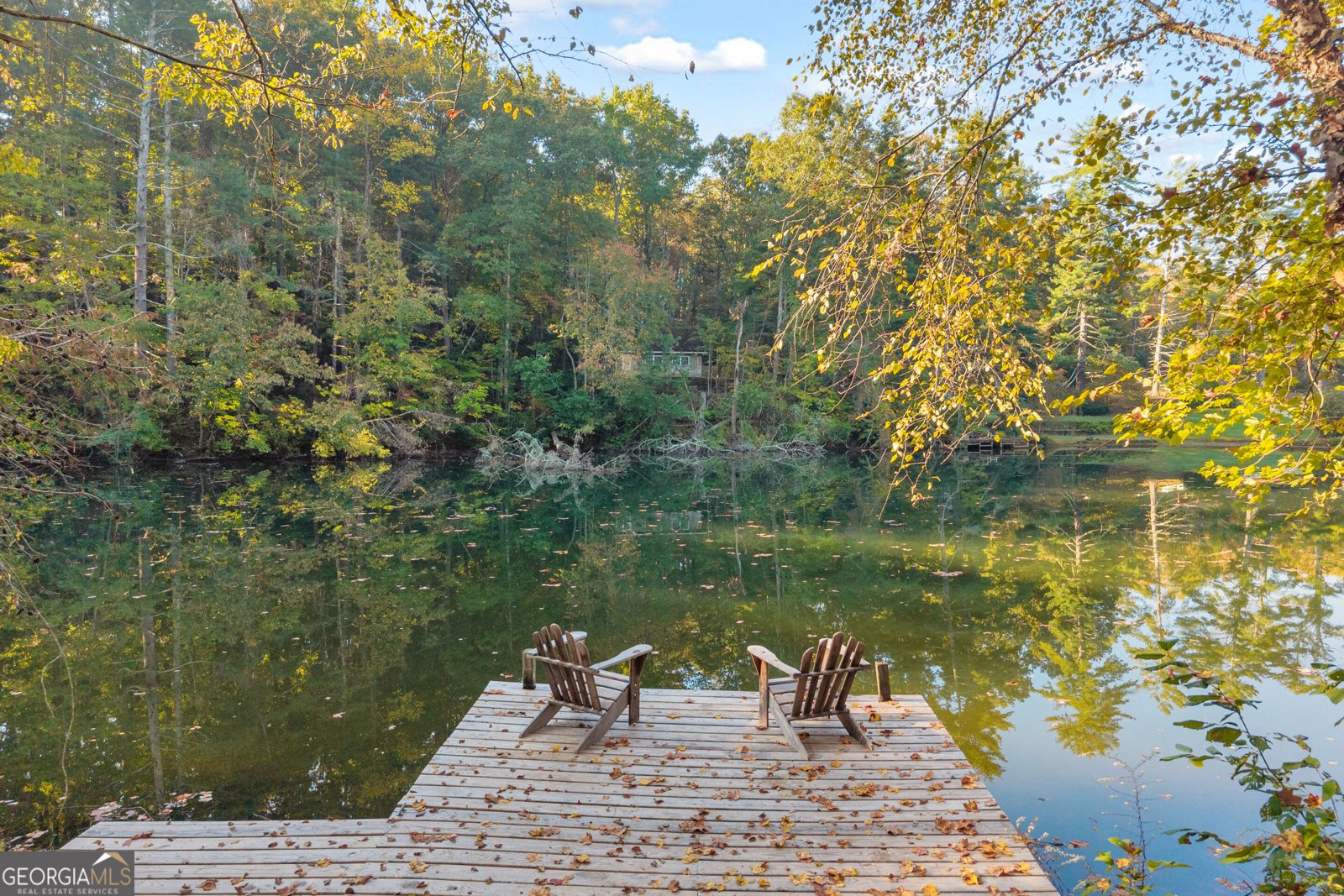 380 White Pine Circle Demorest - Photo 67