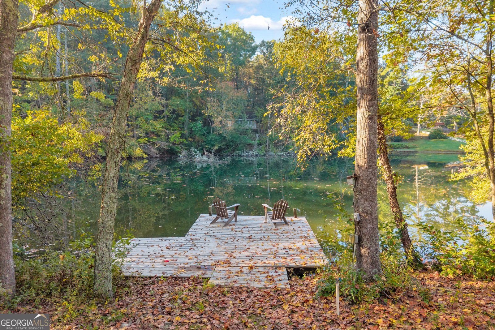 380 White Pine Circle Demorest - Photo 68