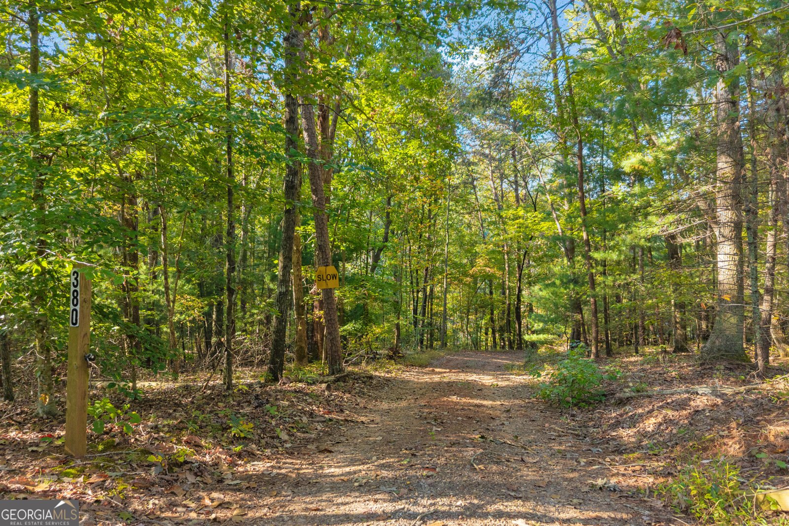 380 White Pine Circle Demorest - Photo 76