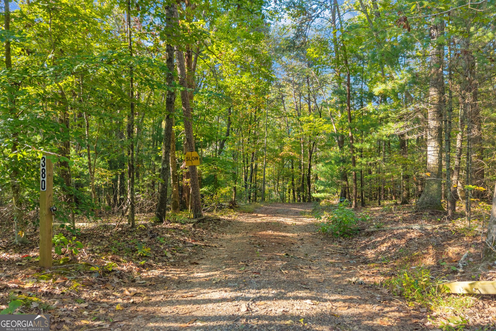 380 White Pine Circle Demorest - Photo 77