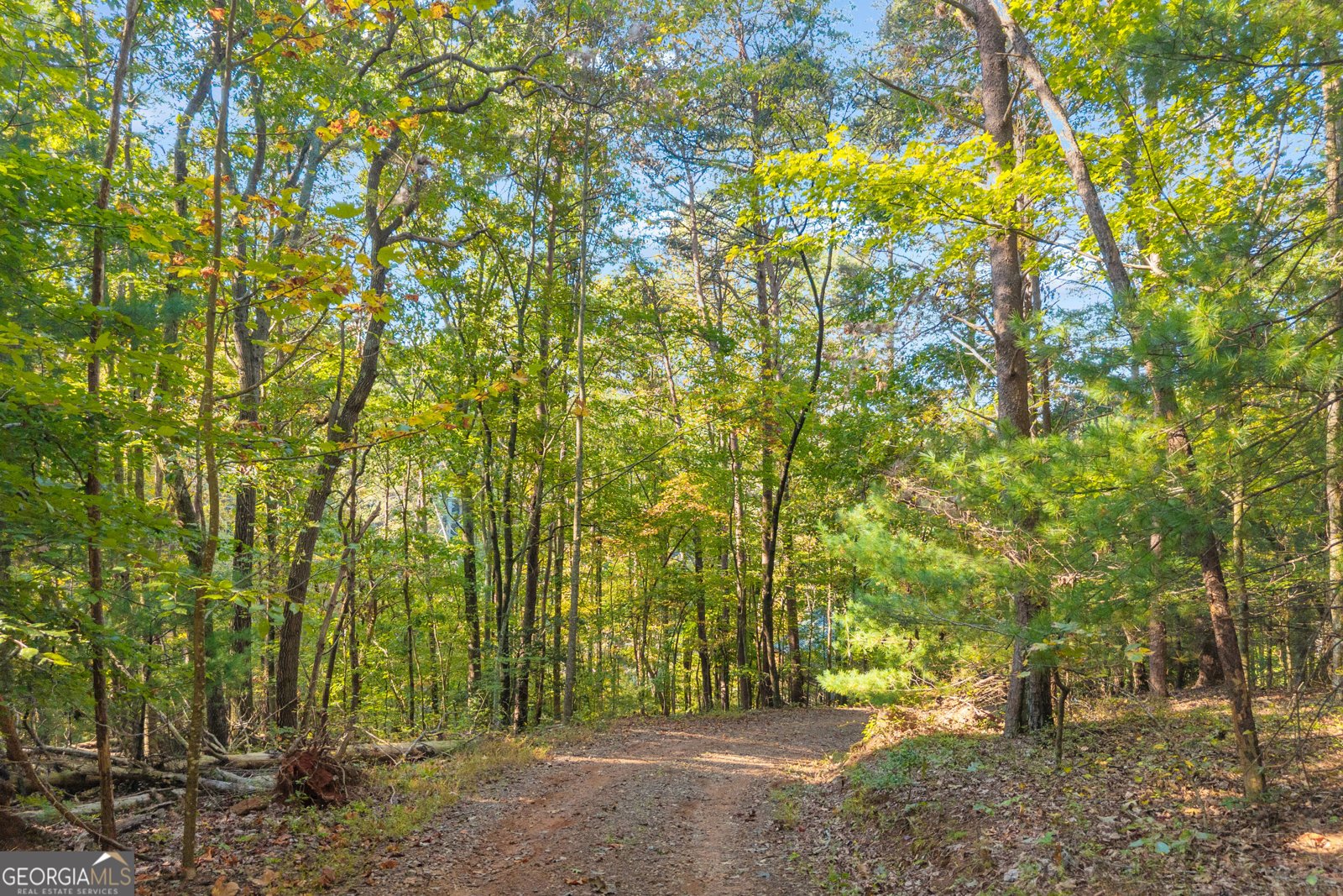 380 White Pine Circle Demorest - Photo 78