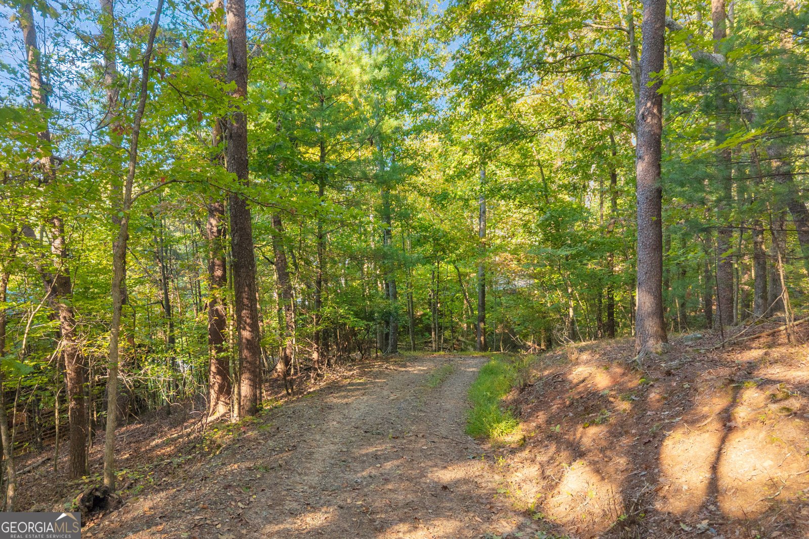 380 White Pine Circle Demorest - Photo 79
