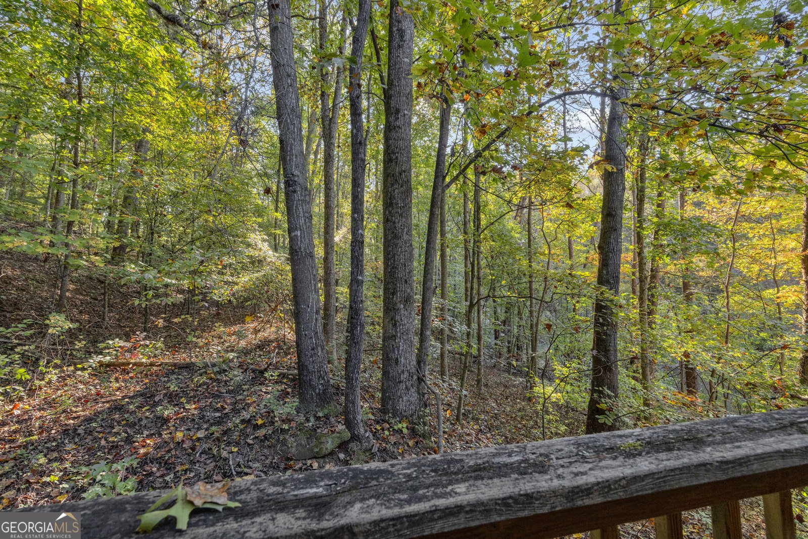 380 White Pine Circle Demorest - Photo 95