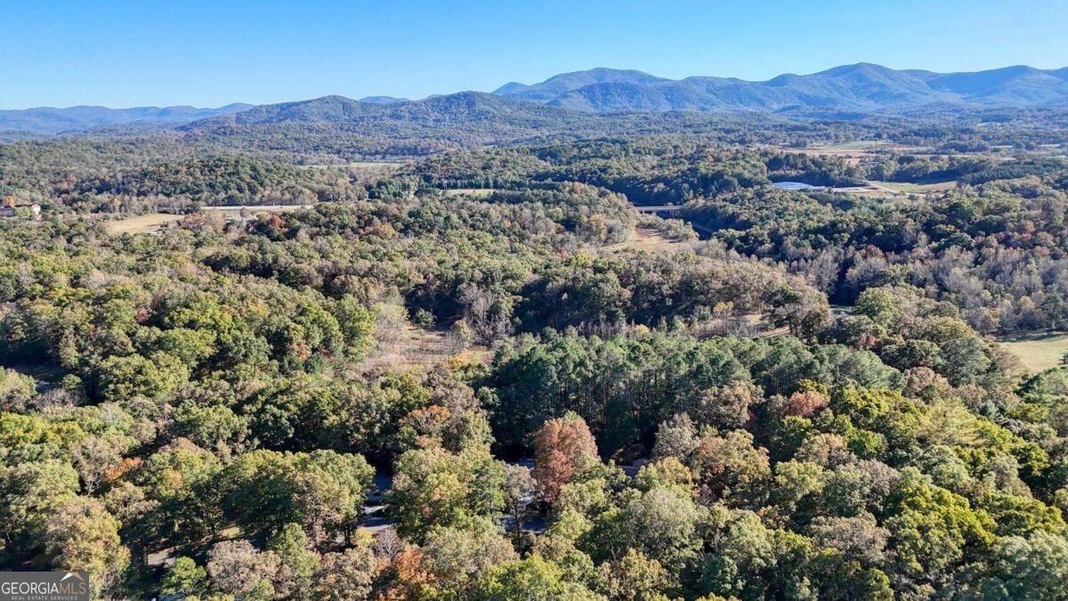 95 Mountain View Drive Blairsville - Photo 40