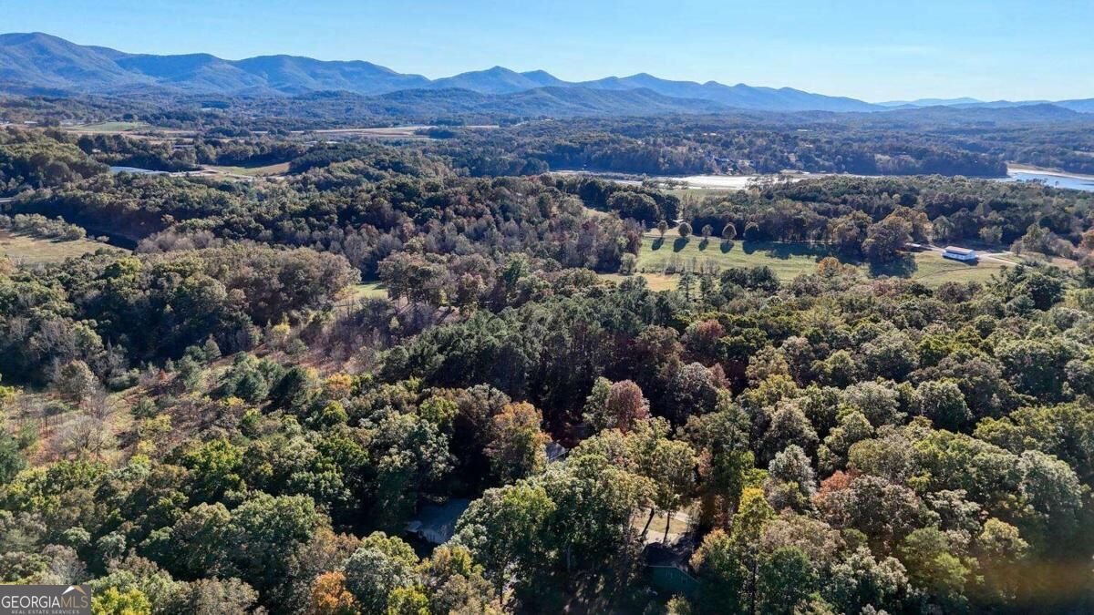 95 Mountain View Drive Blairsville - Photo 41