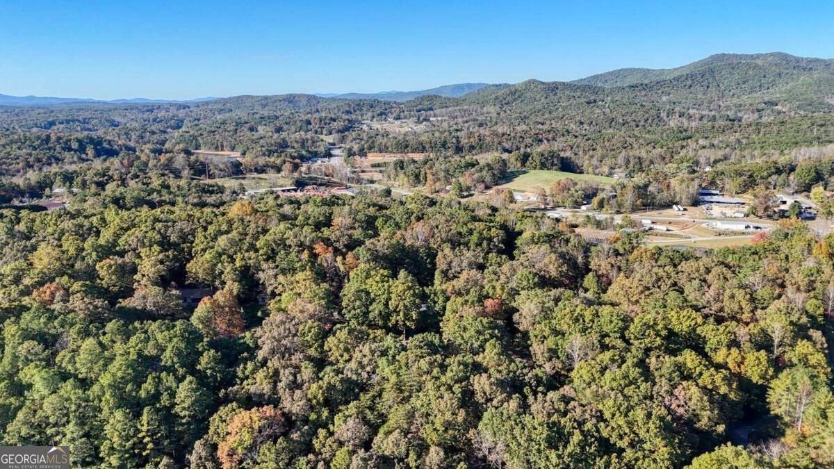 95 Mountain View Drive Blairsville - Photo 42