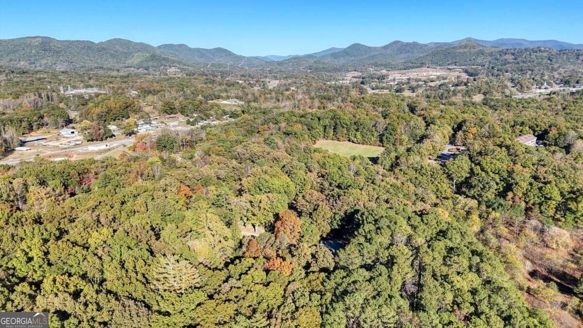 95 Mountain View Drive Blairsville - Photo 43