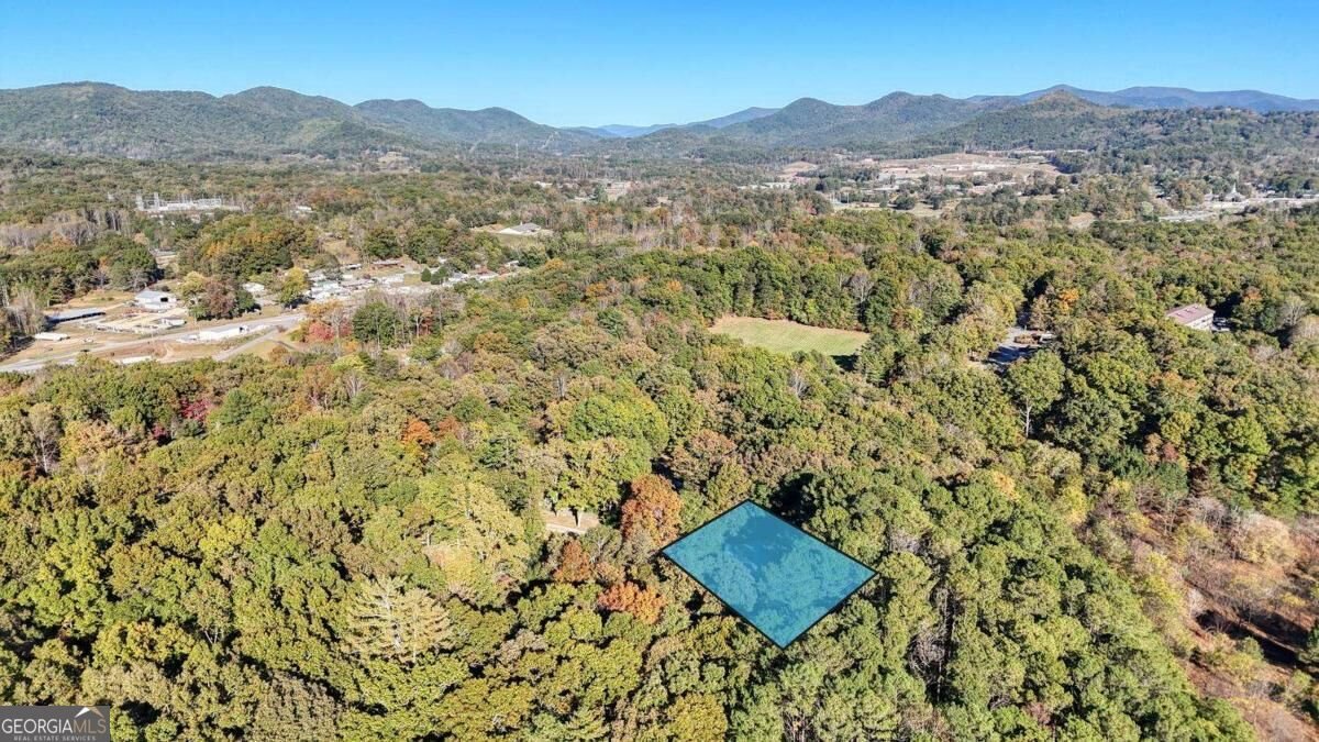 95 Mountain View Drive Blairsville - Photo 44